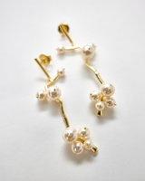 Coffee Cherry Earring