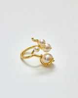 Kent Ring
