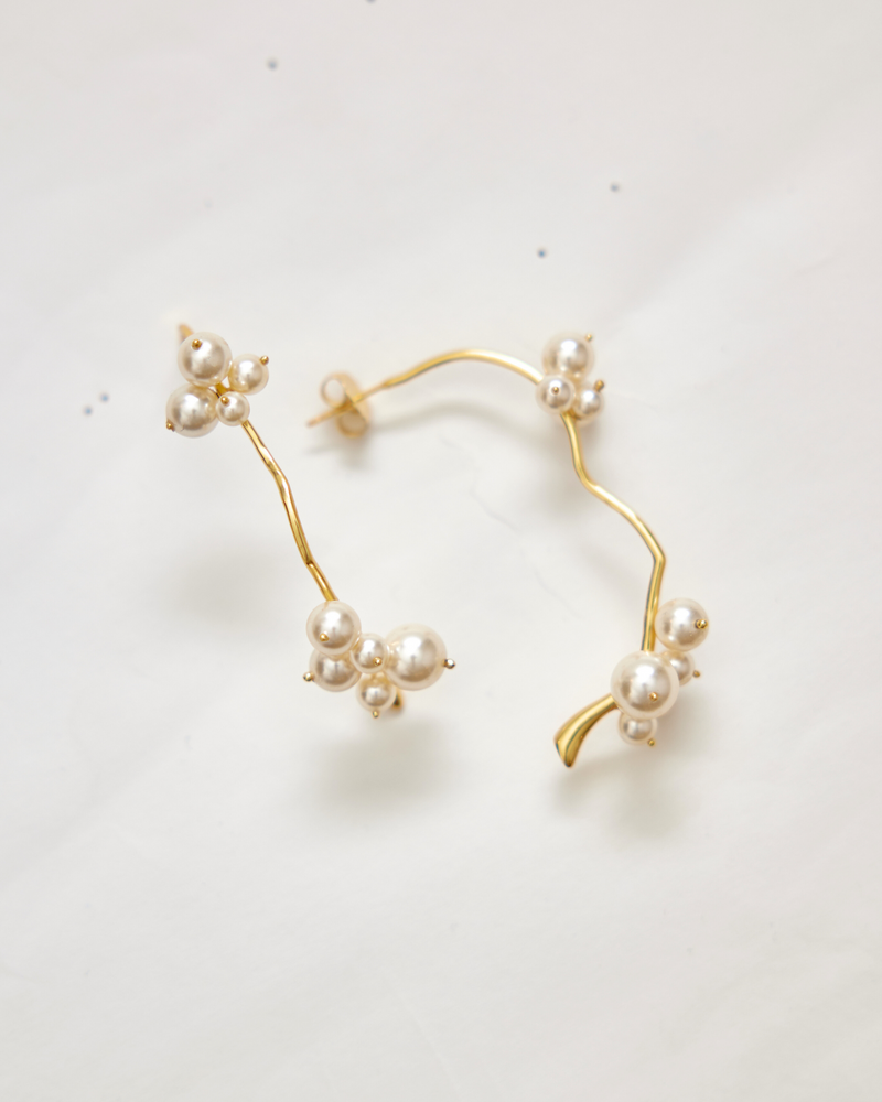 Robasta Earring
