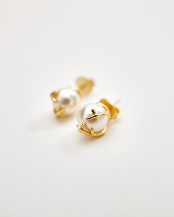 Java Studs