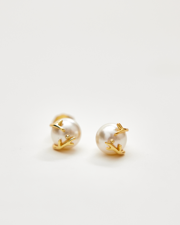 Java Studs