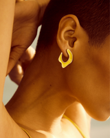 Hawaii earrings