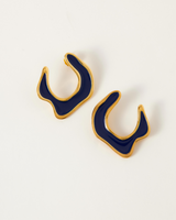 Hawaii earrings