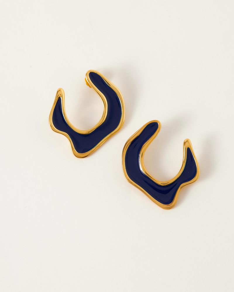 Hawaii earrings
